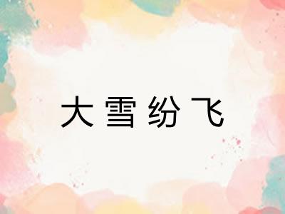 大雪纷飞 大雪纷飞