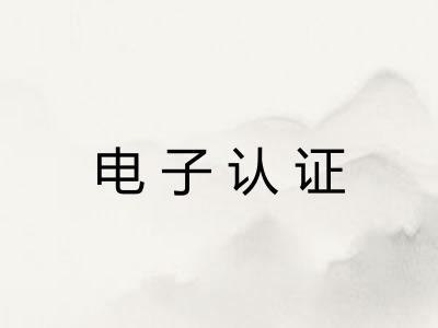 电子认证 电子认证