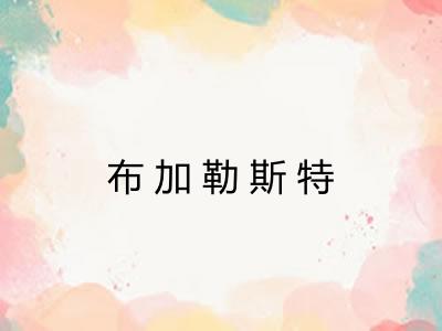 布加勒斯特 布加勒斯特