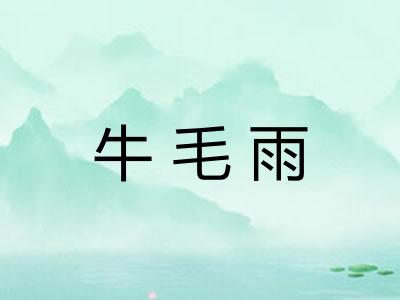 牛毛雨 牛毛雨