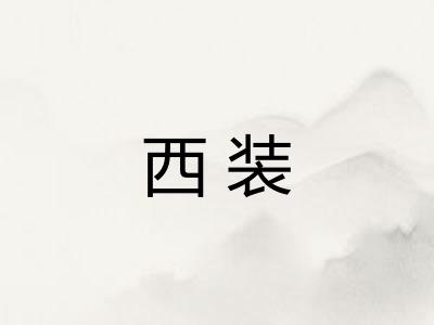西装 西装