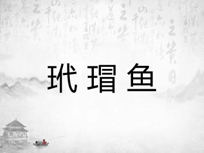 玳瑁鱼 玳瑁鱼