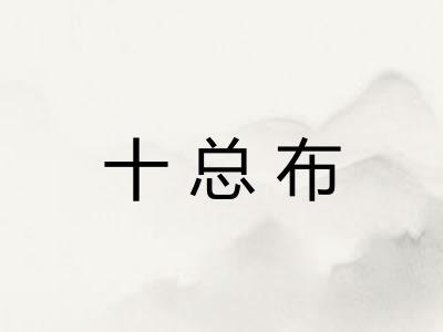 十总布 十总布