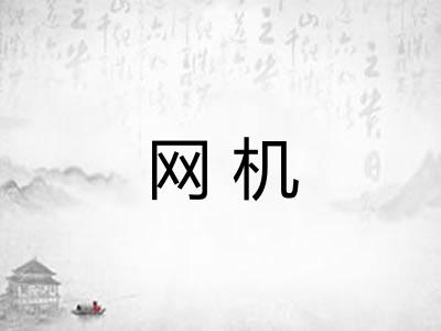 网机 网机