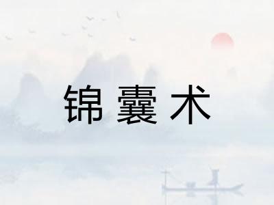 锦囊术