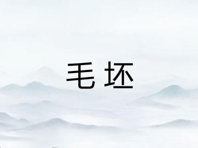 毛坯