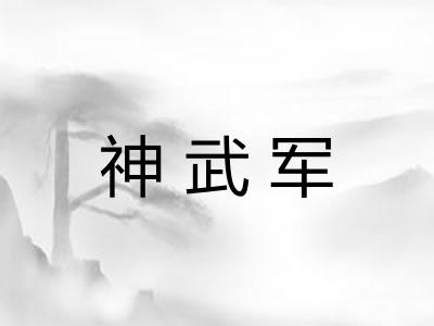 神武军 神武军