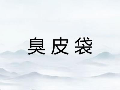 臭皮袋 臭皮袋