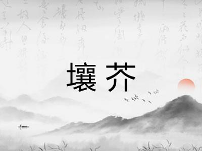 壤芥