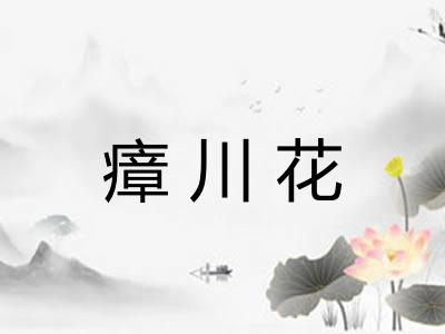 瘴川花 瘴川花