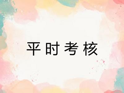 平时考核 平时考核