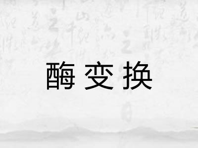 酶变换 酶变换