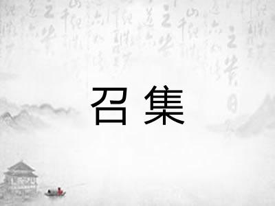召集
