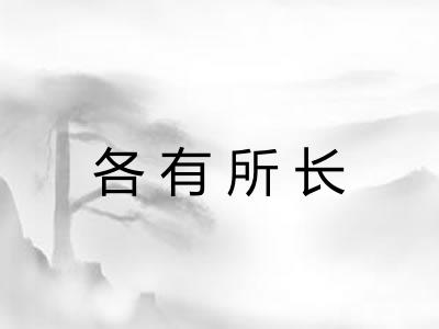 各有所长 各有所长