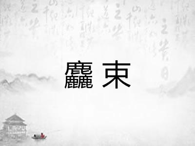 麤束