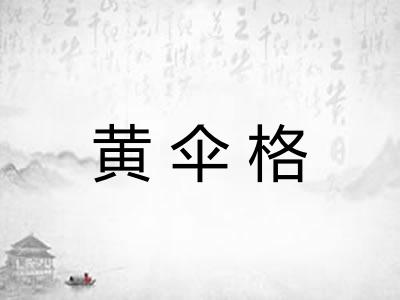 黄伞格 黄伞格