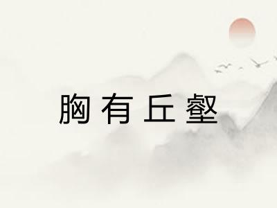 胸有丘壑 胸有丘壑