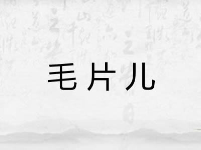 毛片儿 毛片儿
