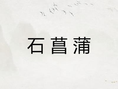 石菖蒲 石菖蒲