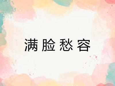 满脸愁容 满脸愁容