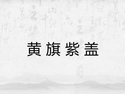 黄旗紫盖 黄旗紫盖