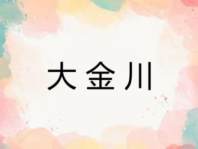 大金川 大金川