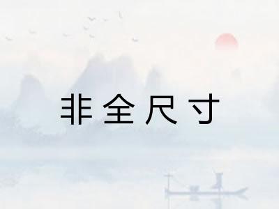 非全尺寸 非全尺寸