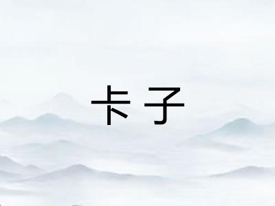 卡子 卡子