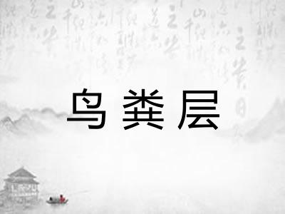 鸟粪层 鸟粪层