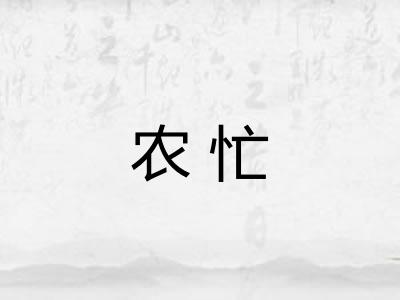 农忙 农忙