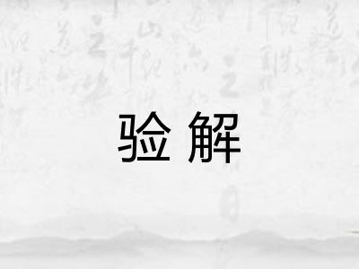 验解 验解