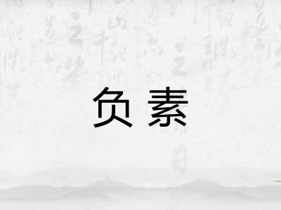负素