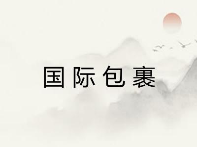 国际包裹 国际包裹