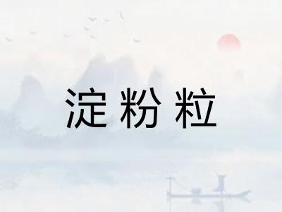 淀粉粒 淀粉粒