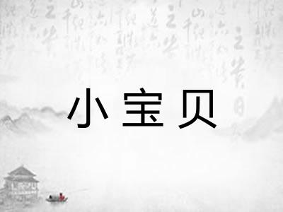 小宝贝