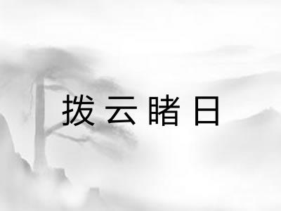 拨云睹日 拨云睹日