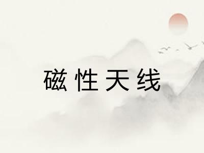 磁性天线 磁性天线