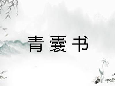 青囊书 青囊书