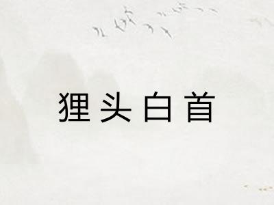 狸头白首 狸头白首
