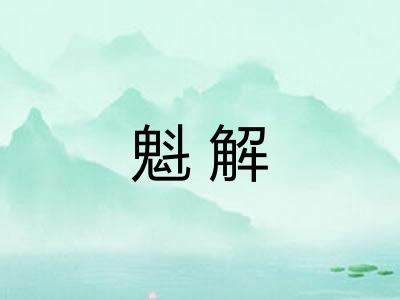 魁解 魁解