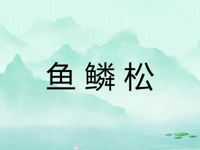 鱼鳞松