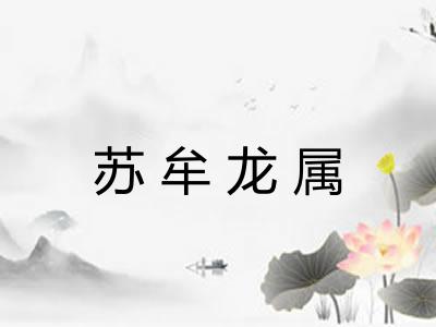 苏牟龙属 苏牟龙属