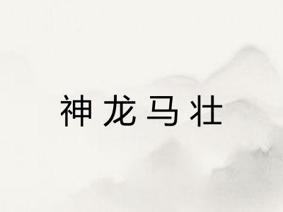 神龙马壮 神龙马壮