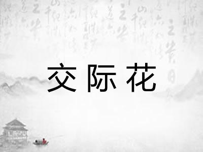 交际花 交际花