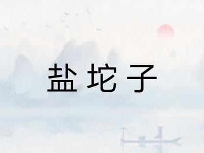 盐坨子
