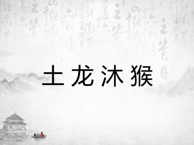 土龙沐猴