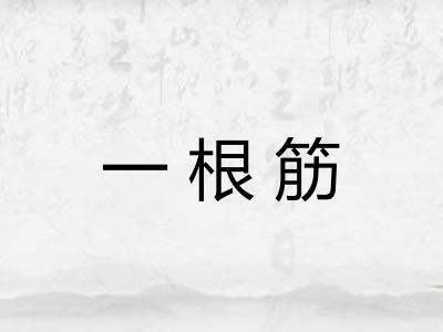一根筋