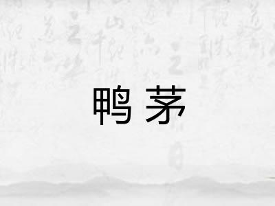鸭茅 鸭茅