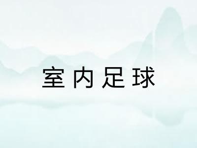 室内足球 室内足球