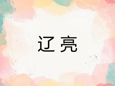 辽亮